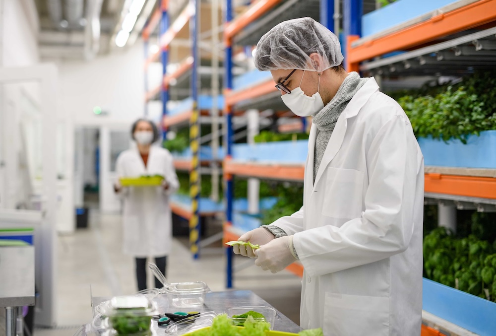 Illustration du métier : Inspecteur des denrées alimentaires (h/f/x)