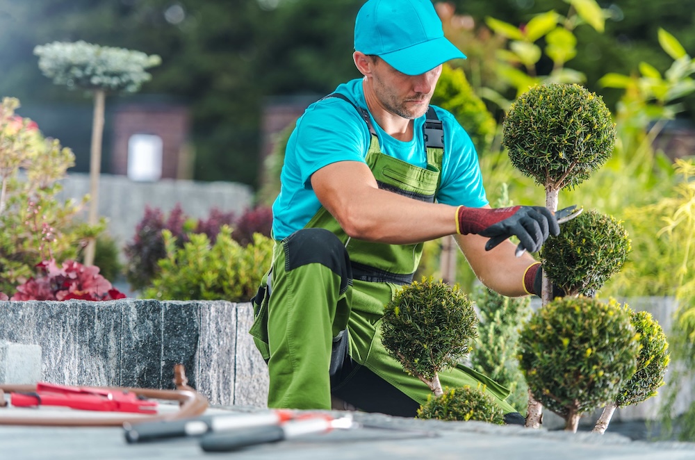 Illustration du métier : Technicien en matériel horticole, de jardinage et sylviculture (h/f/x)