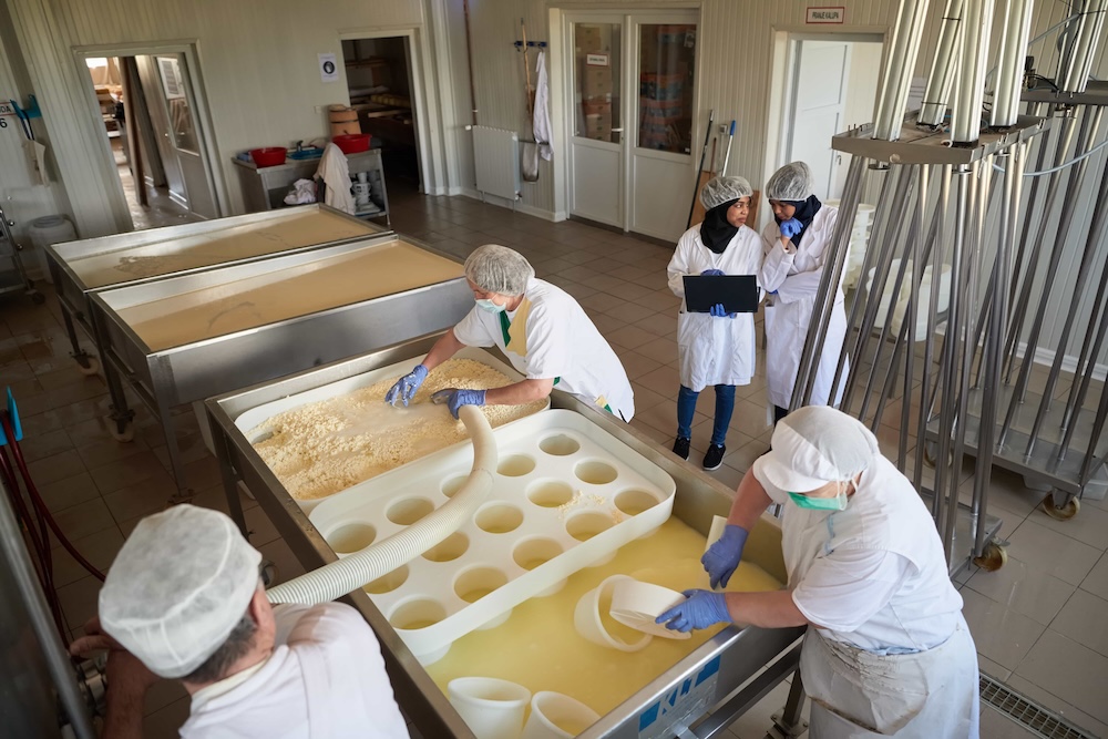 Illustration du métier : Fabricant et affineur de fromages (h/f/x)