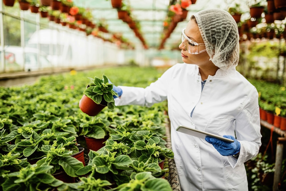 Illustratie van het beroep : Productieverantwoordelijke land- en tuinbouw